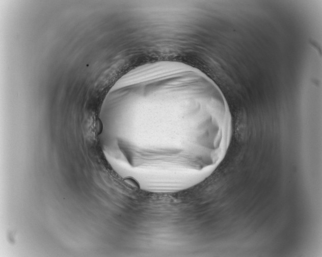 X0000102310866200808152039