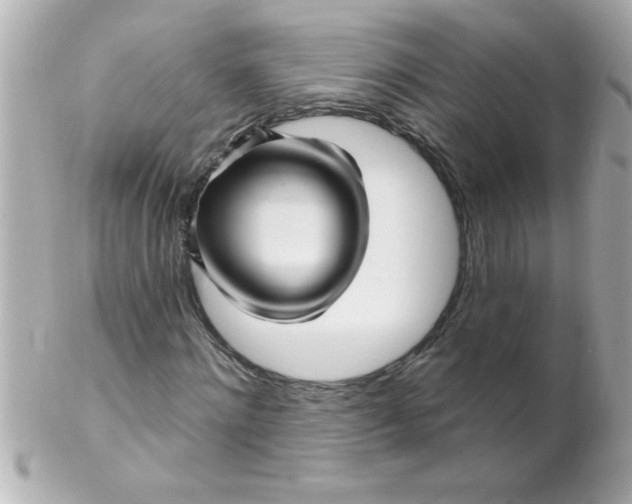 X0000102310868200808152039