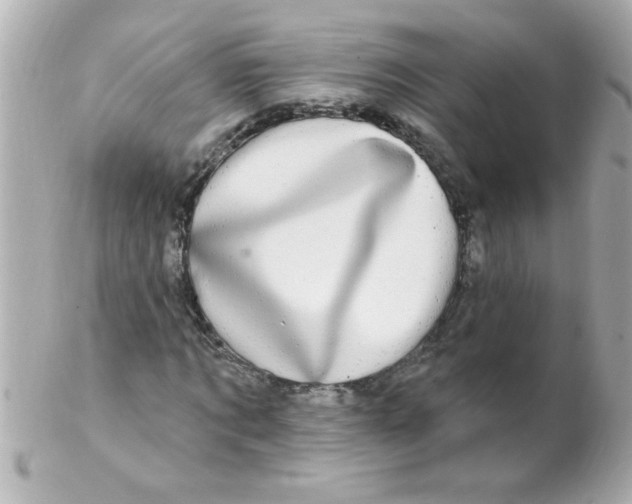 X0000102310869200808152039