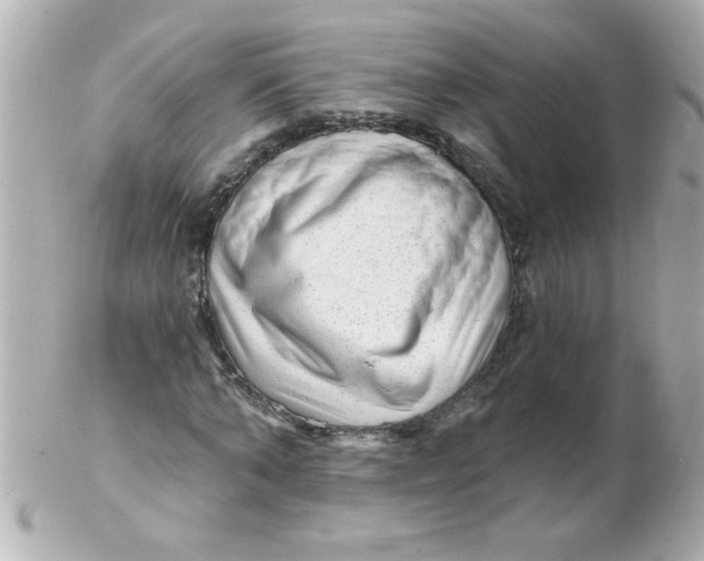 X0000102310870200808152039