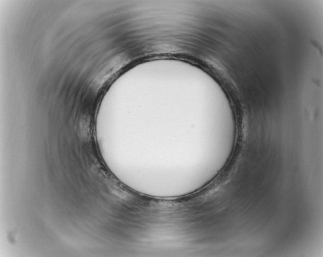 X0000102310873200808152038