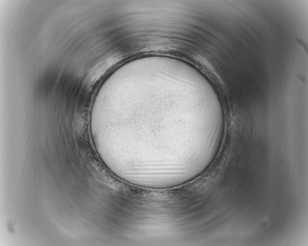 X0000102310874200808152038