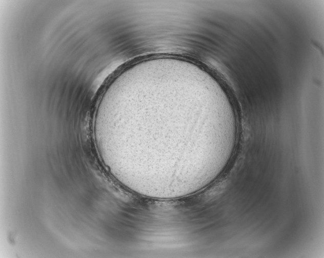 X0000102310875200808152038