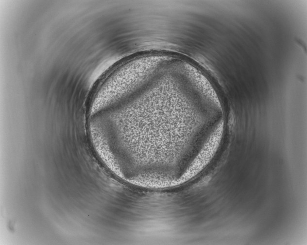 X0000102310877200808152038