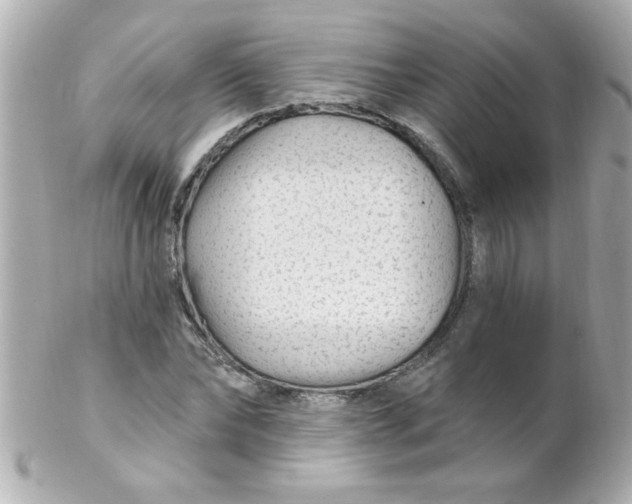 X0000102310878200808152038