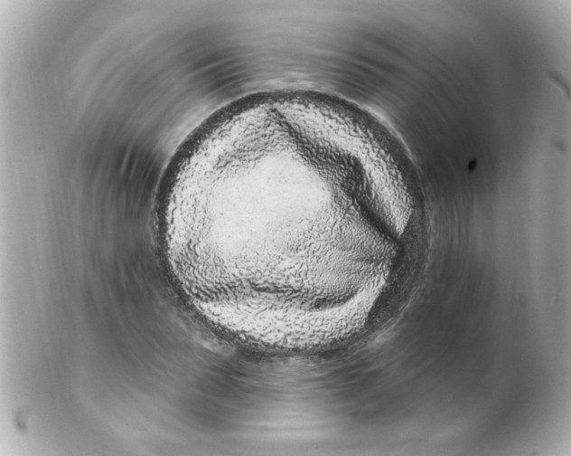 X0000102310879200808152038