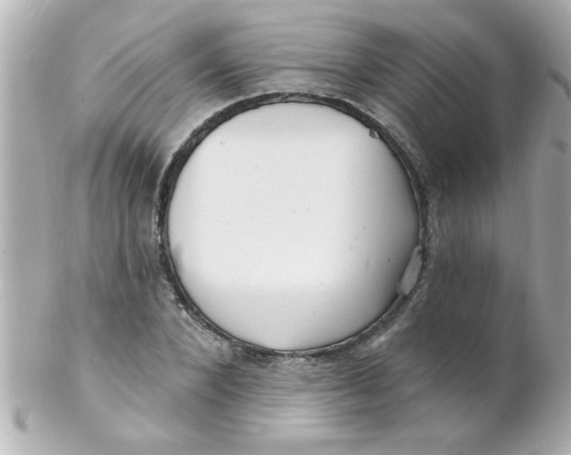 X0000102310880200808152038