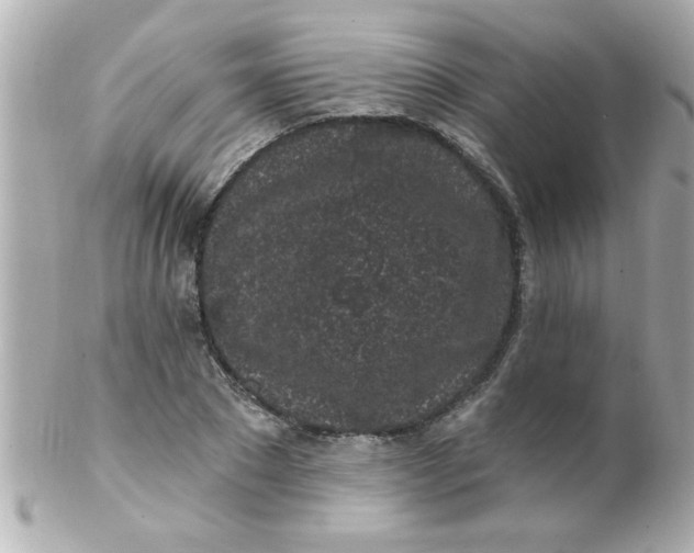 X0000102310881200808152038