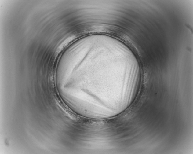 X0000102310882200808152038