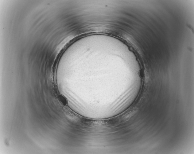 X0000102310883200808152038
