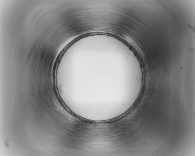 X0000102310884200808152038