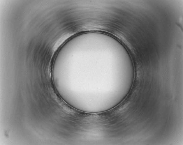 X0000102310885200808152038