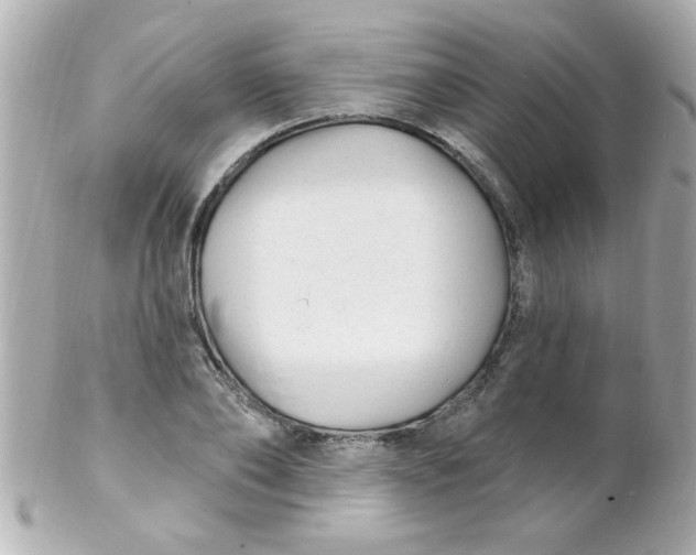X0000102310886200808152038