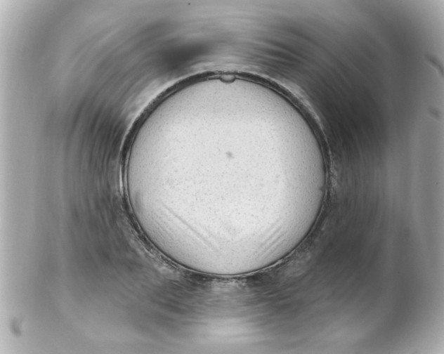 X0000102310887200808152038