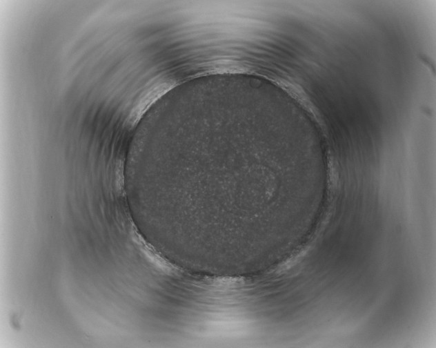X0000102310889200808152038