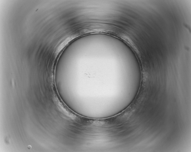 X0000102310890200808152038