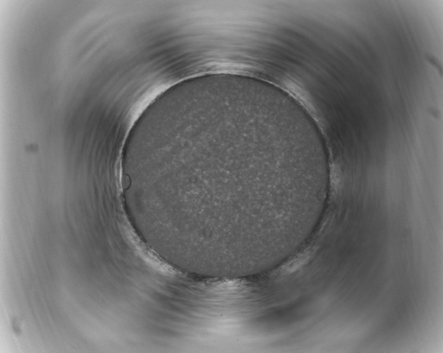 X0000102310891200808152038
