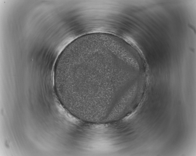 X0000102310892200808152038