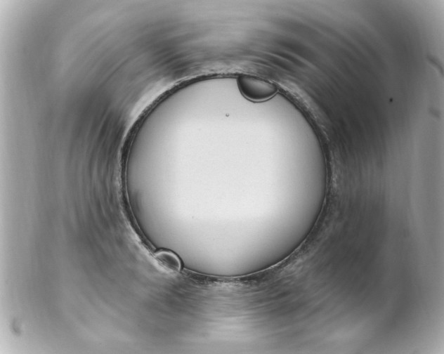 X0000102310894200808152038