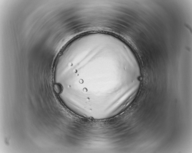X0000102310895200808152038