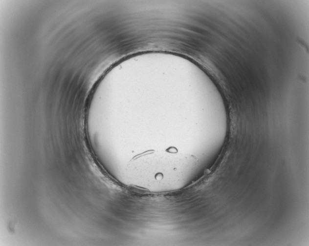 X0000102310896200808152038