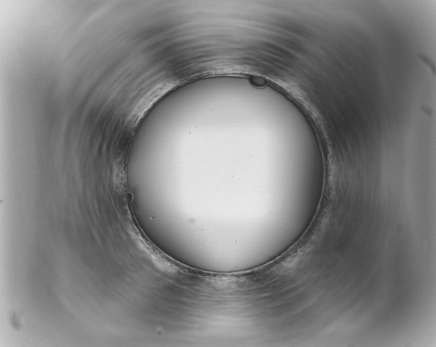 X0000102310897200808152038