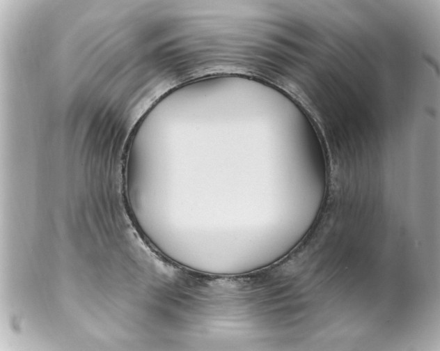 X0000102310898200808152038