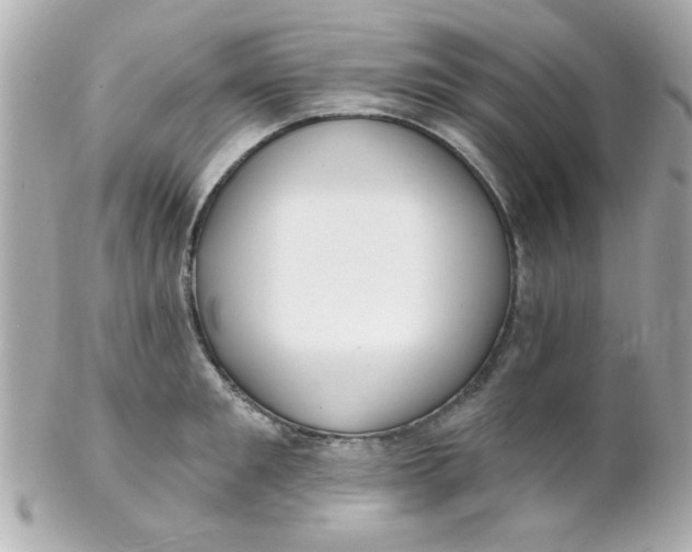 X0000102310901200808152038