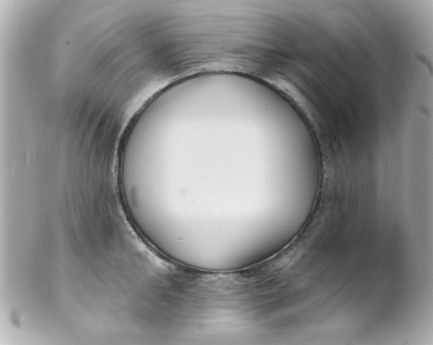 X0000102310902200808152038