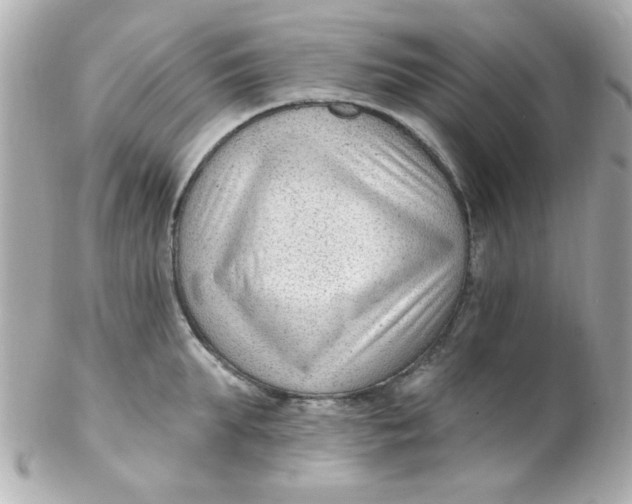 X0000102310903200808152038