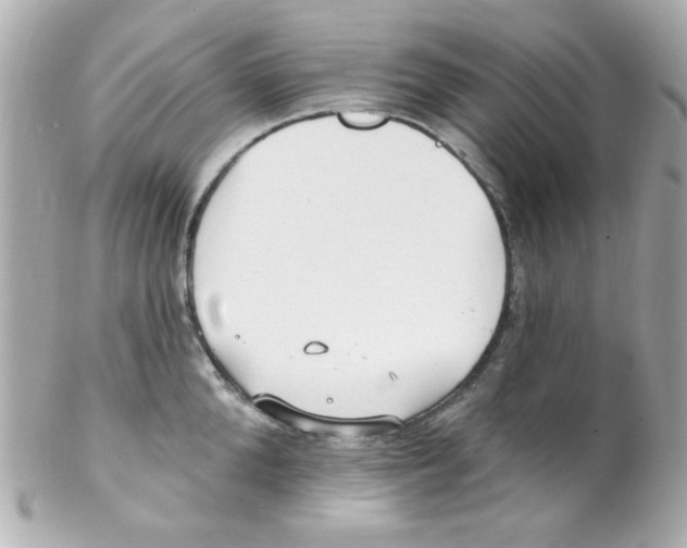 X0000102310904200808152038