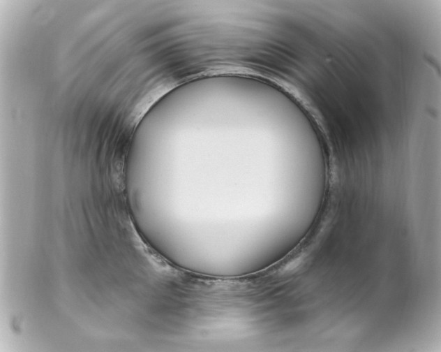 X0000102310905200808152038