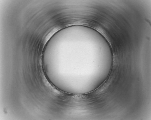 X0000102310906200808152038
