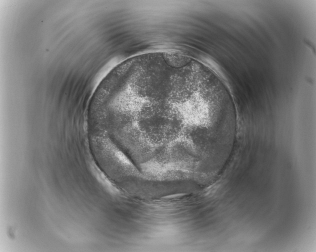X0000102310907200808152038
