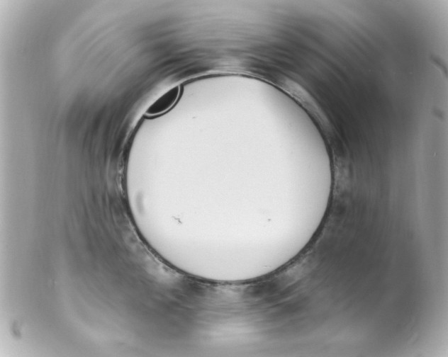 X0000102310908200808152038