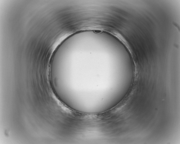 X0000102310909200808152038