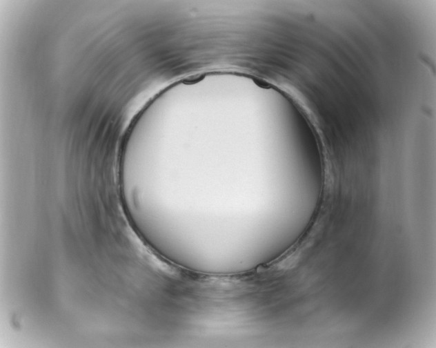 X0000102310910200808152038