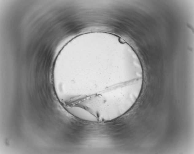 X0000102310912200808152038