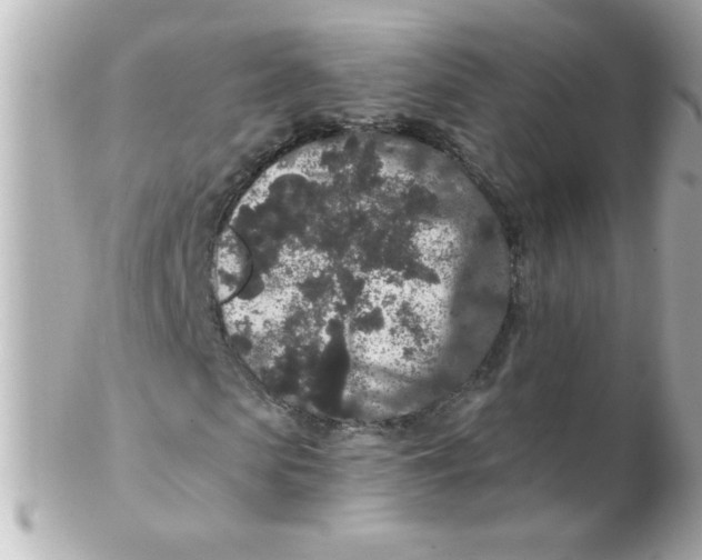 X0000102310913200808152037