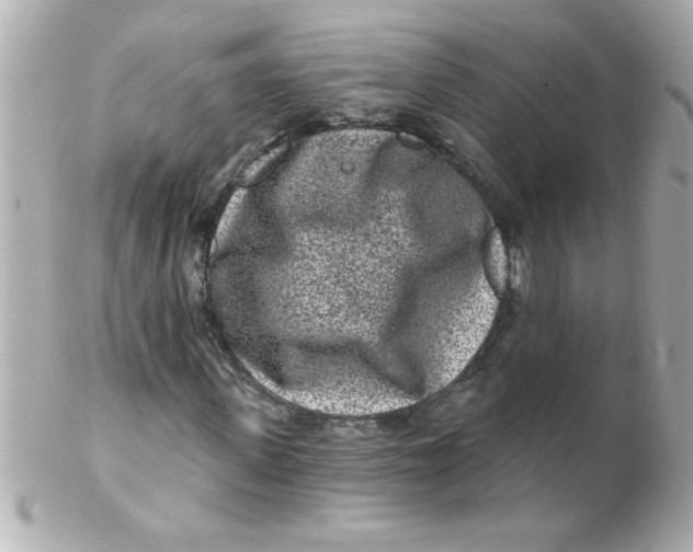 X0000102310915200808152037