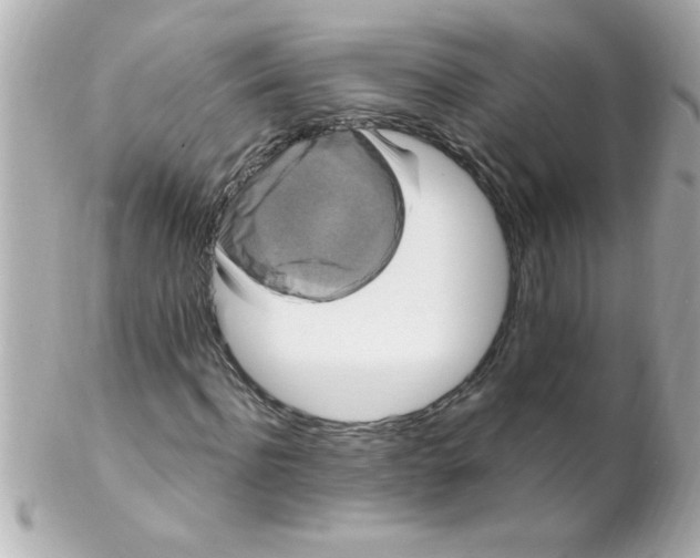 X0000102310916200808152037