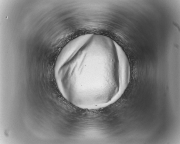 X0000102310917200808152037