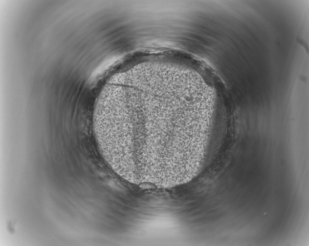 X0000102310919200808152037