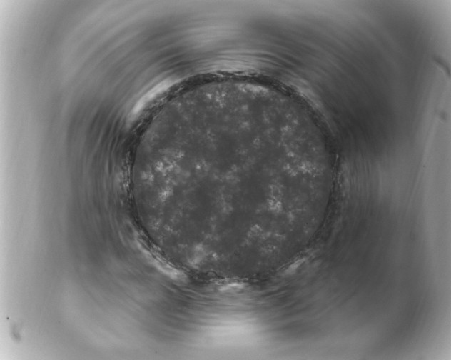 X0000102310920200808152037