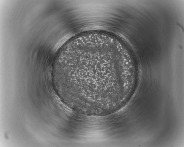 X0000102310921200808152037