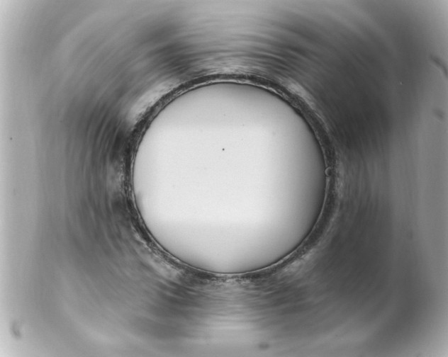 X0000102310922200808152037