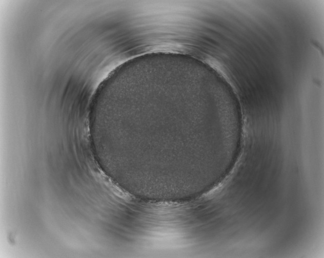 X0000102310923200808152037