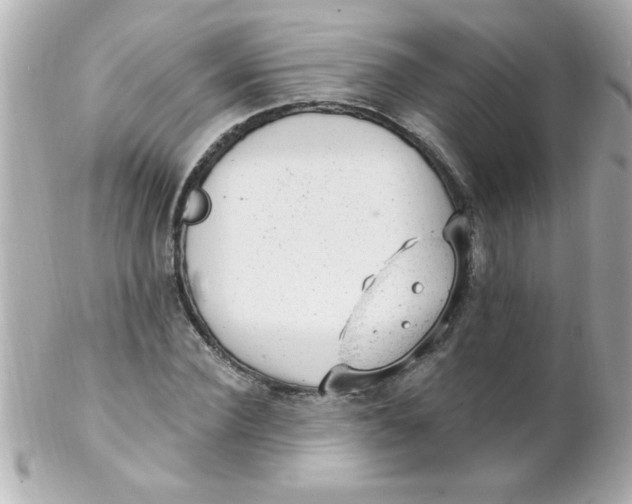 X0000102310924200808152037
