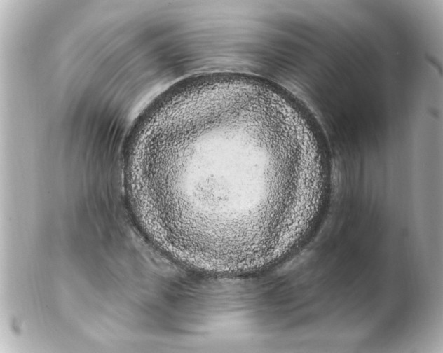 X0000102310925200808152037