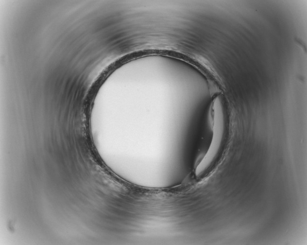 X0000102310926200808152037